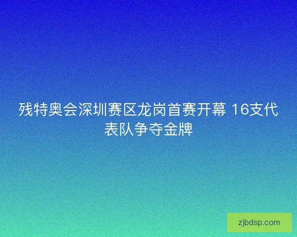 残特奥会深圳赛区龙岗首赛开幕 16支代表队争夺金牌